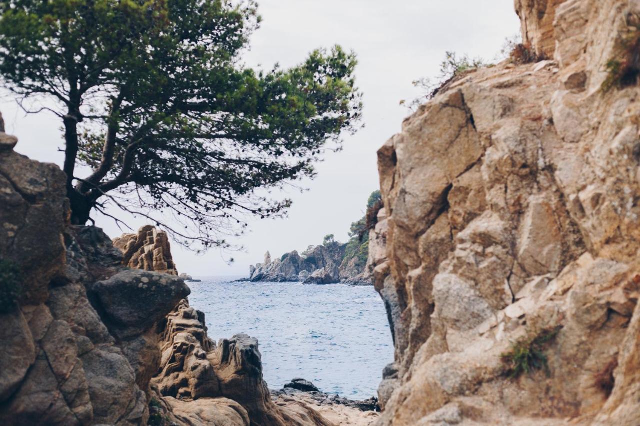 Cleopatra 4* Lloret de Mar